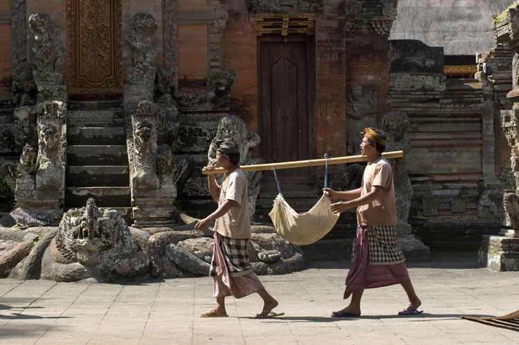 040721_bali0467encomp.jpg