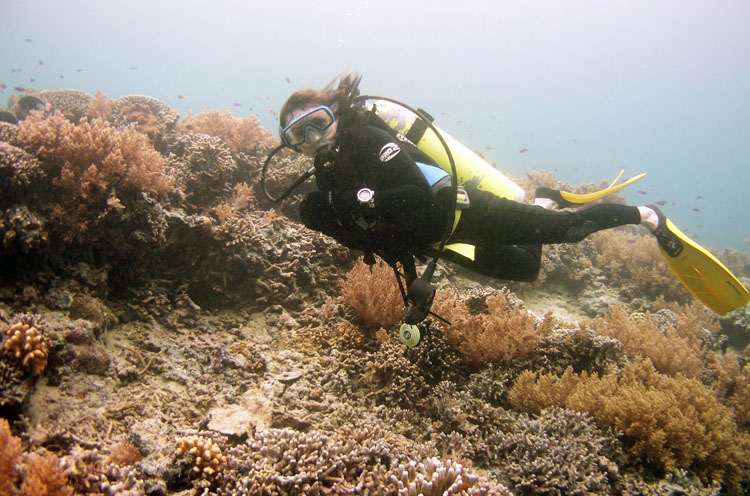 0509_sipadan178encomp.jpg