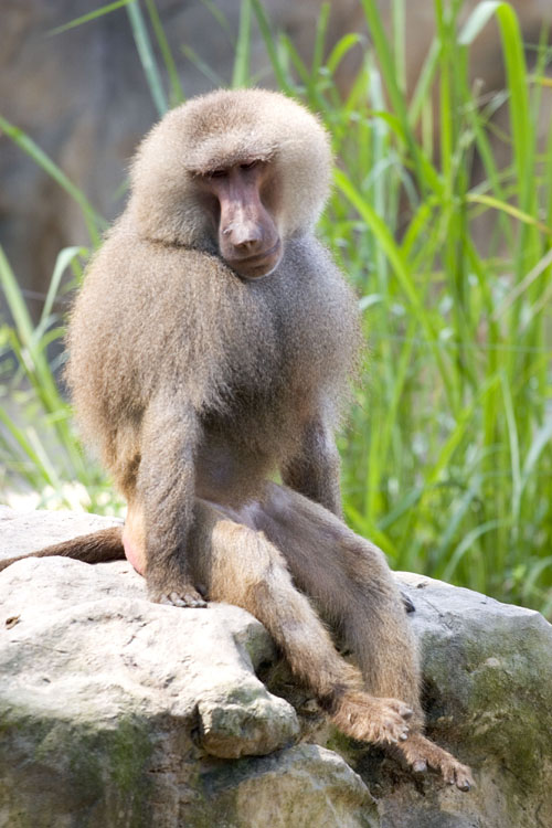 051002_zoo025encomp.jpg