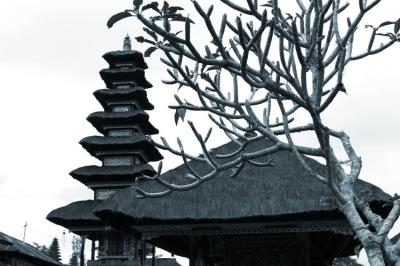 040721_bali0099en copycomp.jpg