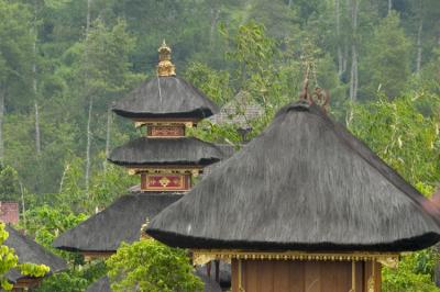 040721_bali0160encomp.jpg