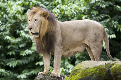 051002_zoo091encomp.jpg