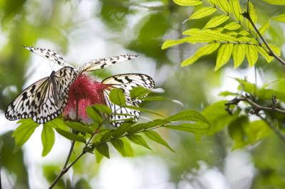 051002_zoo136encomp.jpg
