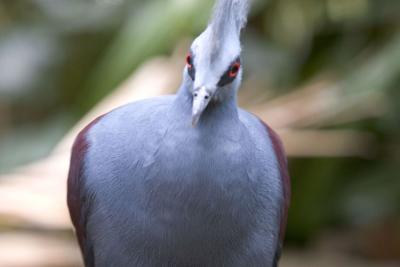 051002_zoo140encomp.jpg