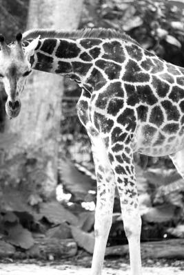 051002_zoo094en2comp.jpg