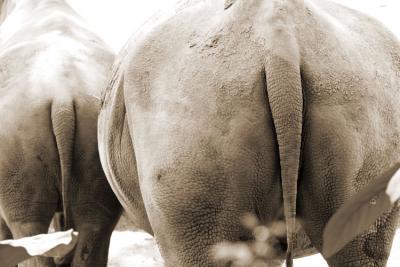 051002_zoo197en2comp.jpg