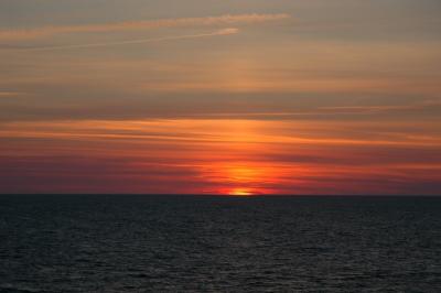 DSC_0203.JPG