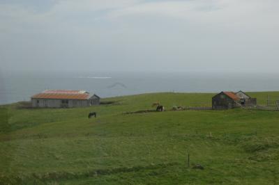 v3/90/342490/3/51090131.DSC_0113.jpg
