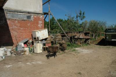 DSC_0102.JPG