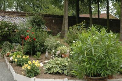 DSC_0120A.JPG