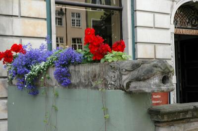 DSC_0063A.JPG