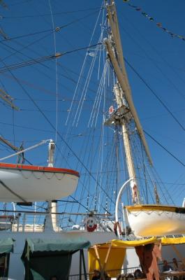 DSC_0098.JPG
