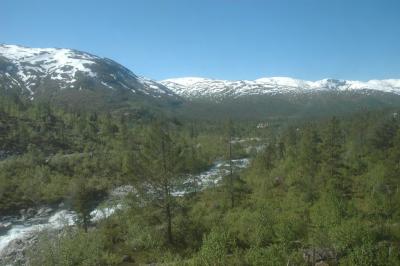 DSC_0021.JPG