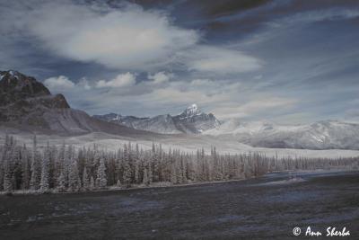 Mount_Fryatt.jpg