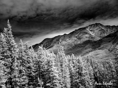 Mountain.jpg