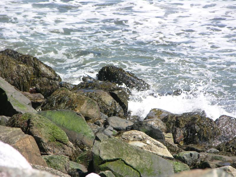 DSCN0250.jpg