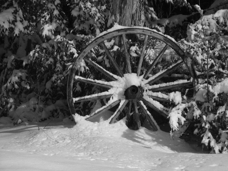 Winter Wheel in B&W