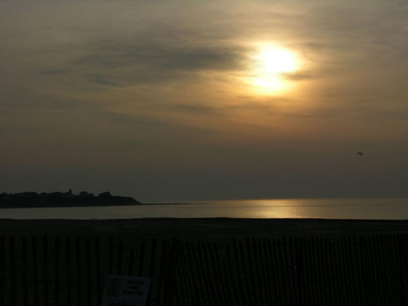 Hampton Sand Scupltures 2005