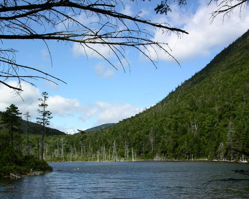 DSCN0676.jpg