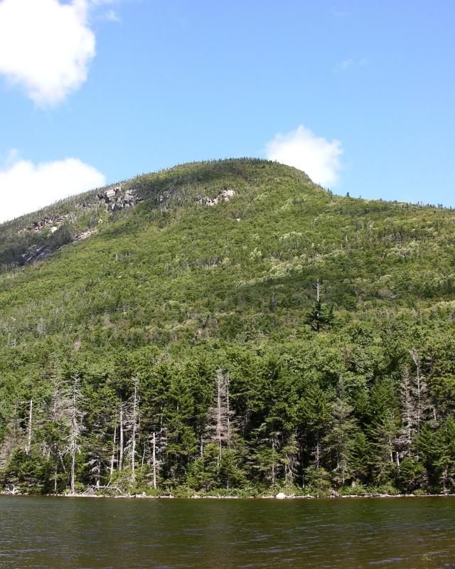 DSCN0678.jpg
