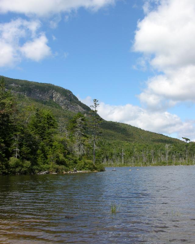 DSCN0687.jpg