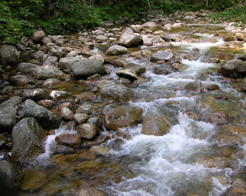 Greeley Pond Trail Sept. 5, 2005