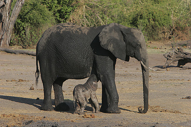 New mom and new baby.