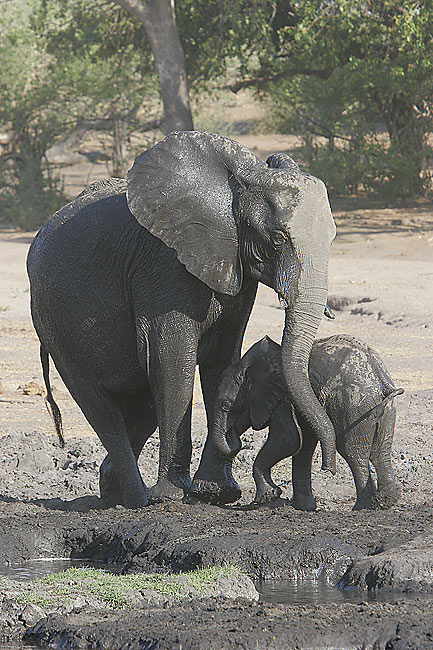 Mom was trying to keep baby away from the water. Fun to watch.