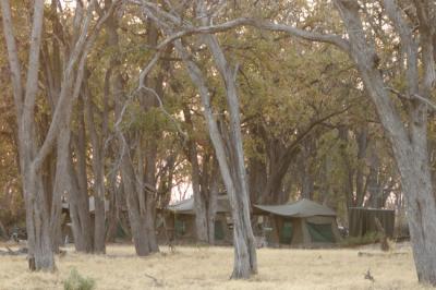 Photo of our mobile camp in Botswana, Africa - trip report inside here (scroll down)