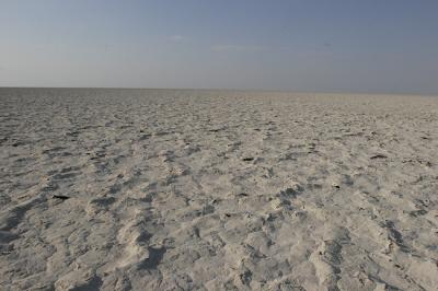 Makgadikgadi Salt Pans in the Kalahari Desert. The ground crunched when you walked on it.