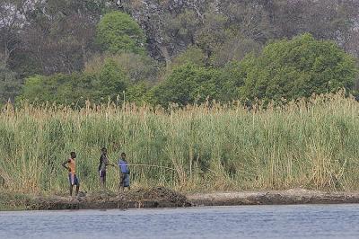Boys fishing in the Okavango Delta (their pole broke a few minutes after this).