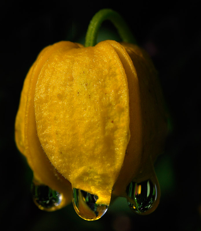 5th equal Sunshine after the Rain by jono slack