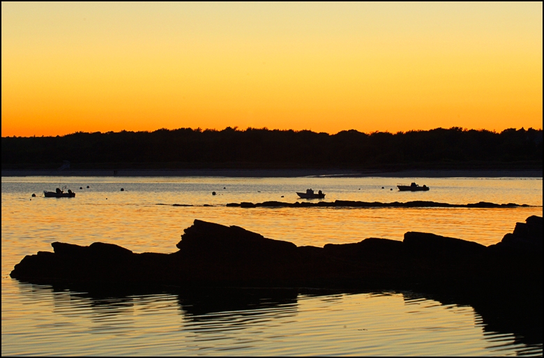The Maine Ocean  by David Fink