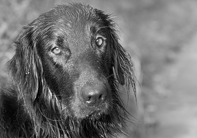 Faithful by jono slack