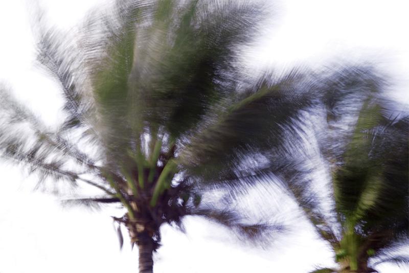 8 seconds before the storm - David Rosenbloom 2005