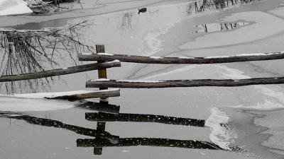 Fenced In by Albert Yanowich Jr.