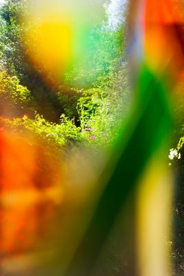 Visions of the Dreamtime Garden by Flick Merauld