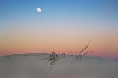 4th equal Moonlit by Paul Rohal