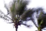 8 seconds before the storm - David Rosenbloom 2005