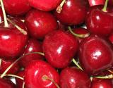 Cherries by Quentin Bargate