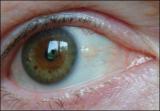 Eye Love  by Paul Fink