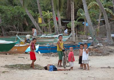 v3/90/447790/3/44919418.LifeintheMangroves.jpg