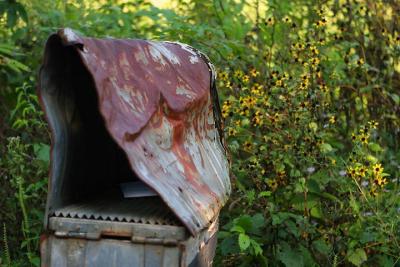 Got Mail?