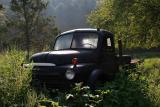 Old Chevy Truck