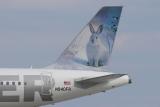 N940FR Hare (Snow Bunny)