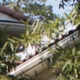 8602 Stable Crest Blvd 01 detail a