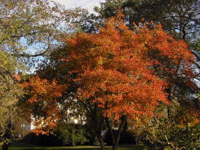 At last...autumn