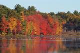 Alton, RI Foliage