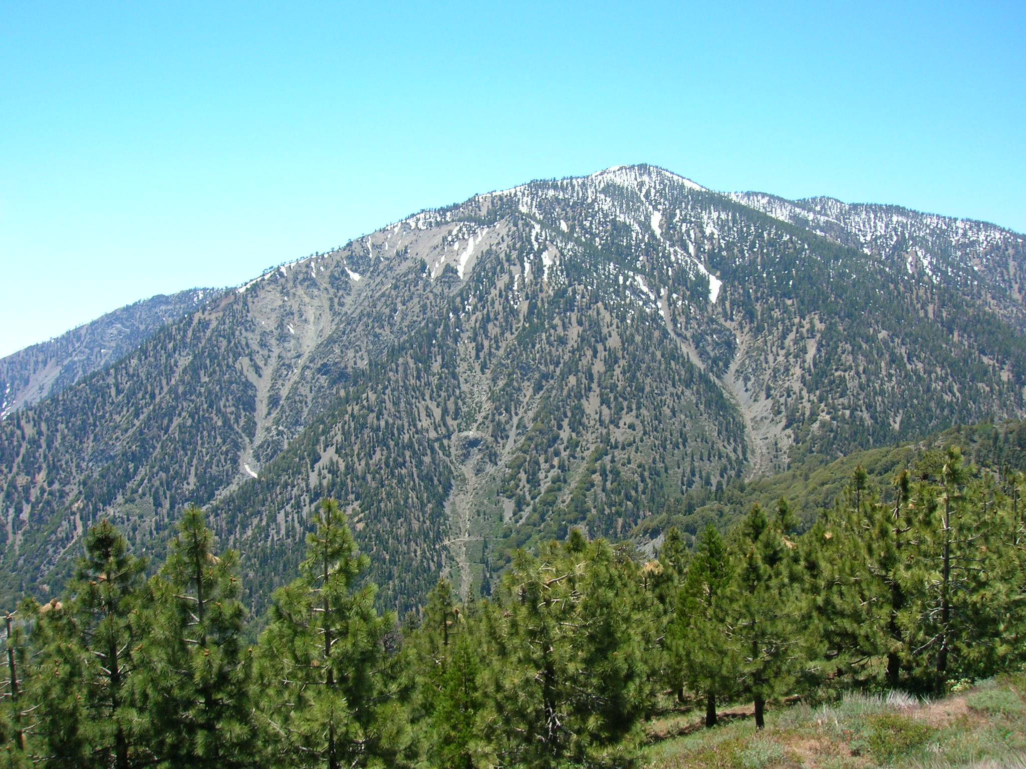Mount Baden-Powell, Angeles National Forest