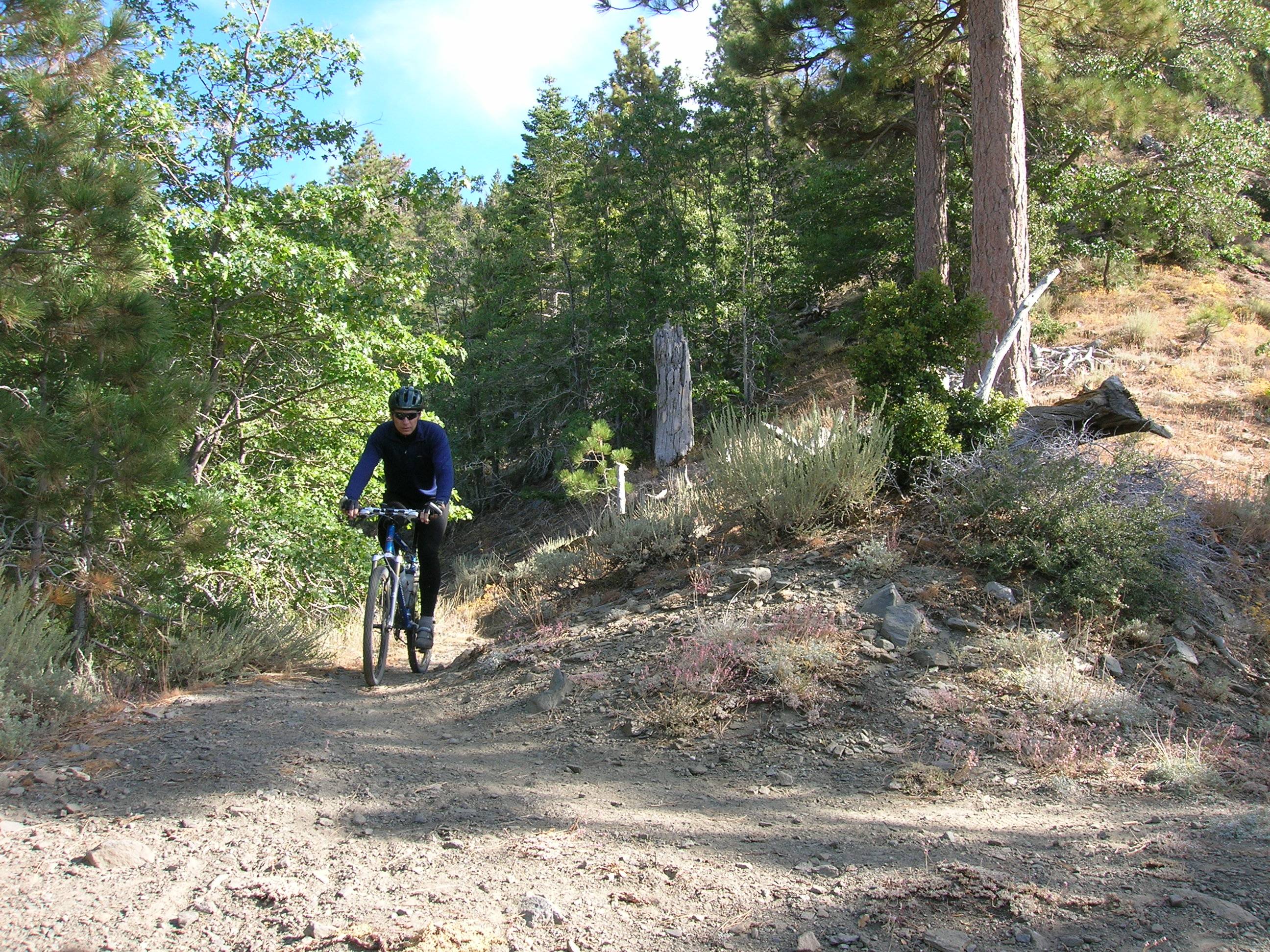 Jackson Lake Trail